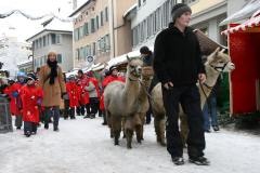 Weihnachtsmarkt-Frauenfeld_2010_24