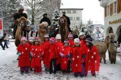 Weihnachtsmarkt-Frauenfeld_2010_41