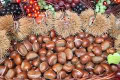 Weihnachtsmarkt-Frauenfeld_2010_42