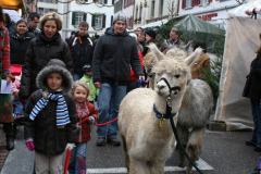 Weihnachtsmarkt-Frauenfeld_2011_21