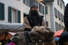 Weihnachtsmarkt-Frauenfeld_2011_40