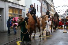 Weihnachtsmarkt-Frauenfeld_2011_44