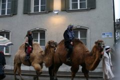 Weihnachtsmarkt-Frauenfeld_2011_47