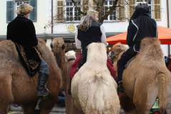 Weihnachtsmarkt-Frauenfeld_2011_52