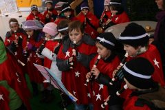 Weihnachtsmarkt-Frauenfeld_2011_55