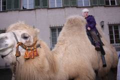 Weihnachtsmarkt-Frauenfeld_2013_42