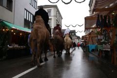Weihnachtsmarkt-Frauenfeld_2013_54