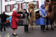 Weihnachtsmarkt-Frauenfeld_2013_63