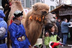 Weihnachtsmarkt-Frauenfeld_2013_65