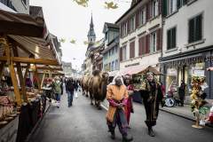 Weihnachtsmarkt-Frauenfeld_2016_8