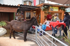 Weihnachtsmarkt-Frauenfeld_2017_1