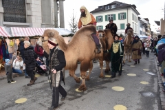 Weihnachtsmarkt-Frauenfeld_2017_5