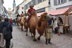 Weihnachtsmarkt-Frauenfeld_2018_29