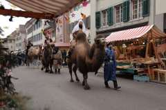 Weihnachtsmarkt-Frauenfeld_2021_1