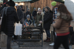 Weihnachtsmarkt-Frauenfeld_2022-20