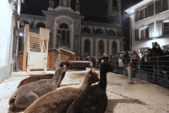 Weihnachtsmarkt-Frauenfeld_2022-27