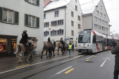 Weihnachtsmarkt-Frauenfeld_2022-9