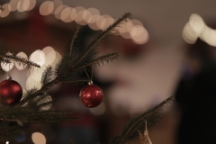 Weihnachtsmartk-Frauenfeld_2023-26