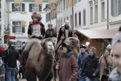 Weihnachtsmartk-Frauenfeld_2023-60