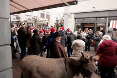 Weihnachtsmarkt-Frauenfeld-2025_7