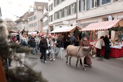 Weihnachtsmarkt-Frauenfeld-2025_89