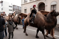 Weihnachtsmarkt-Frauenfeld-2025_91